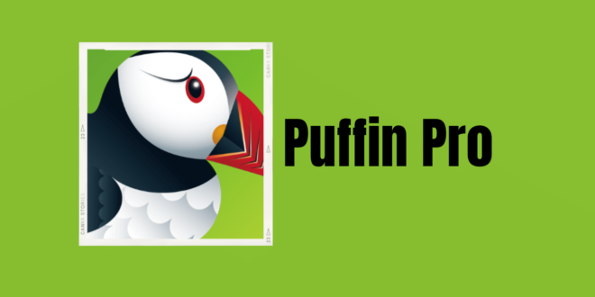 Puffin Pro