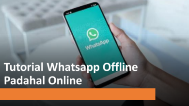Tutorial whatsapp offline padahal online
