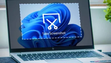 Cara Screenshot Layar Laptop Tanpa Aplikasi Tambahan