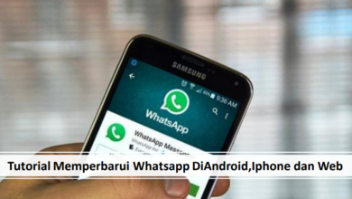 Tutorial Memperbarui whatsapp di hp android,iphone dan web