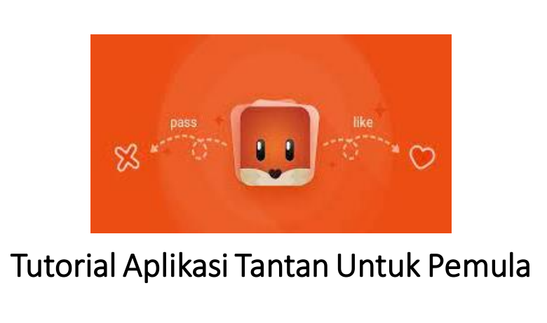 Tutorial Aplikasi Tantan Untuk Pemula