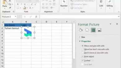 Cara Sisipkan Gambar Ke Spreadsheet Excel