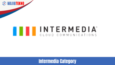 Intermedia Category