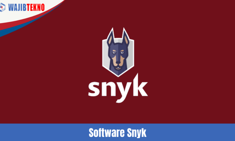 Software Snyk