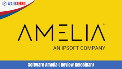 Software Amelia