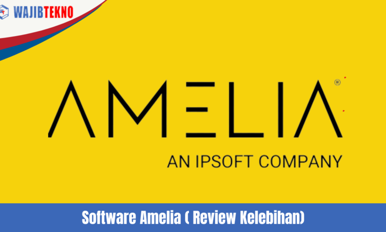 Software Amelia