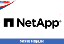 Software Netapp, Inc