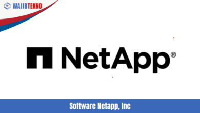 Software Netapp, Inc