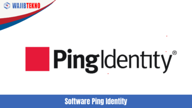 Software Ping Identity