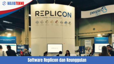 Software Replicon